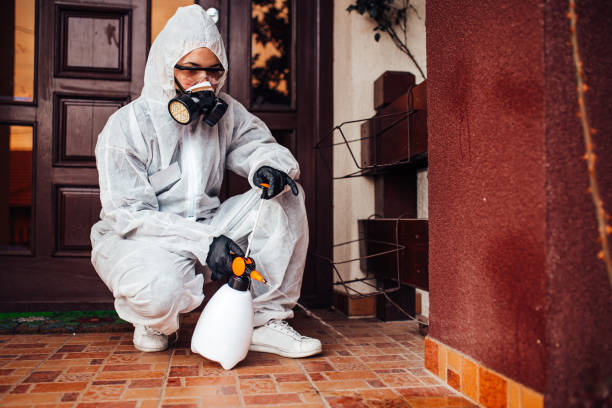 Reliable Wasp Removal contractor in Winfield, WV by Show Me Pest Control